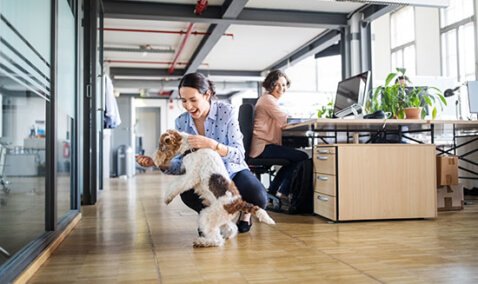 Happy woman petting dog in office
