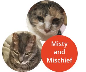 Misty and Mischief